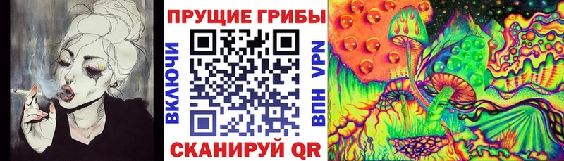 Псилоцибиновые грибы прущие грибы  МЕГА tor  Пустошка 